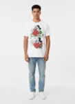 90056 lmoz0UYR model d84f008c.png